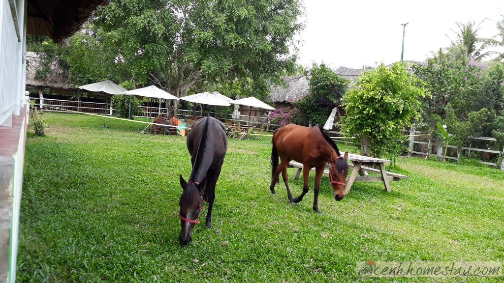 Happy Farm Tiền Giang