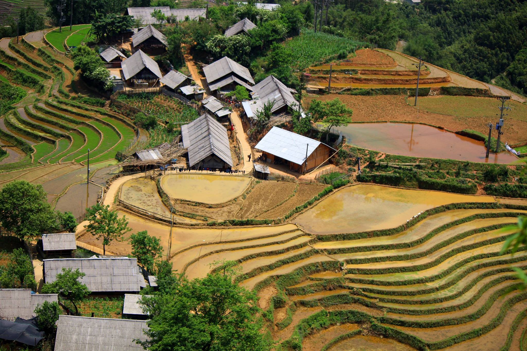 Khu nghỉ dưỡng Topas Ecolodge