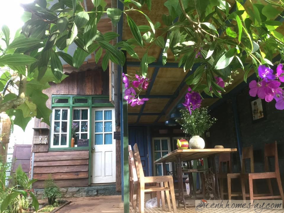 Ngó Dâu homestay Đà Lạt