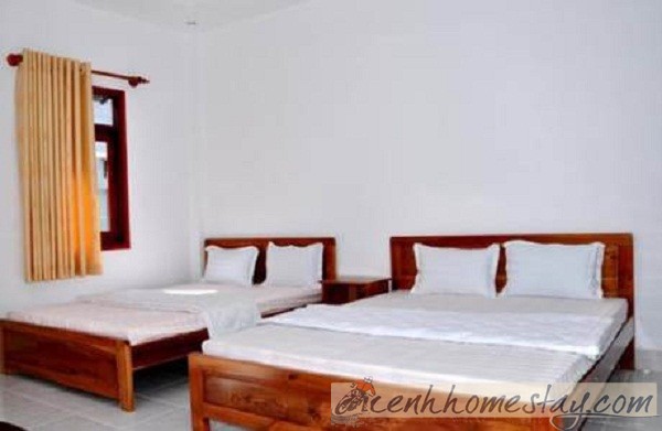 Top homestay, nhà nghỉ, khách sạn ở đảo Lý Sơn