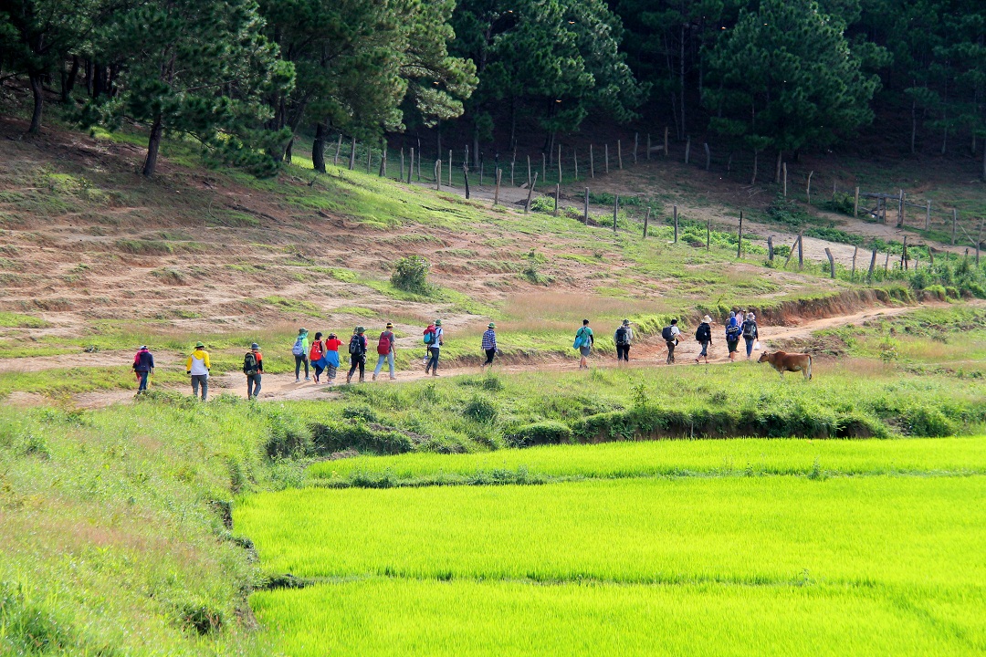 khám phá Sàn Homestay ở Tà Năng Phan Dũng