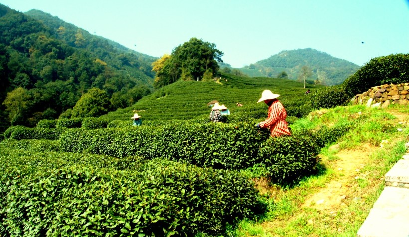 Địa điểm du lịch Hàng Châu