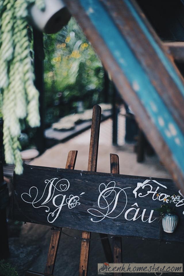 Ngó Dâu homestay Đà Lạt