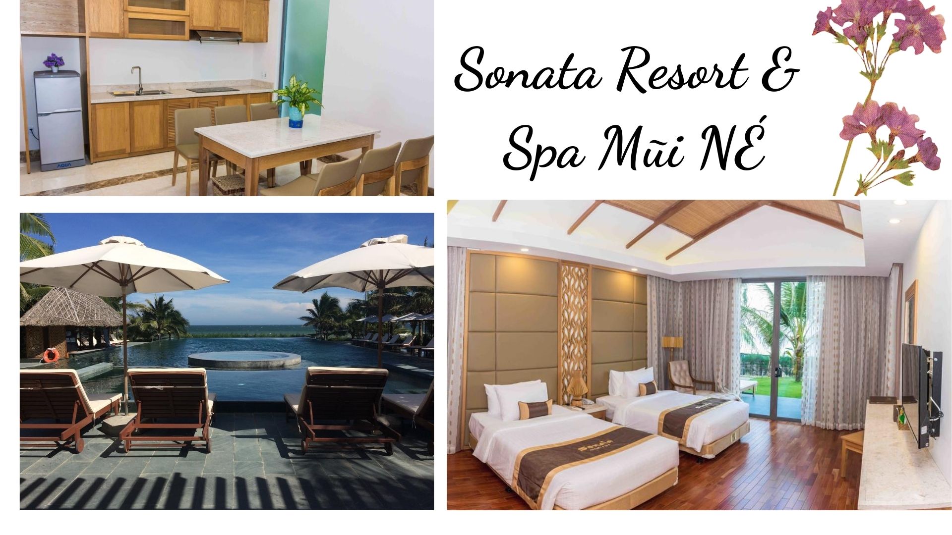 Top 61 Resort Mũi Né Phan Thiết giá rẻ view đẹp gần biển từ 3-4-5 sao