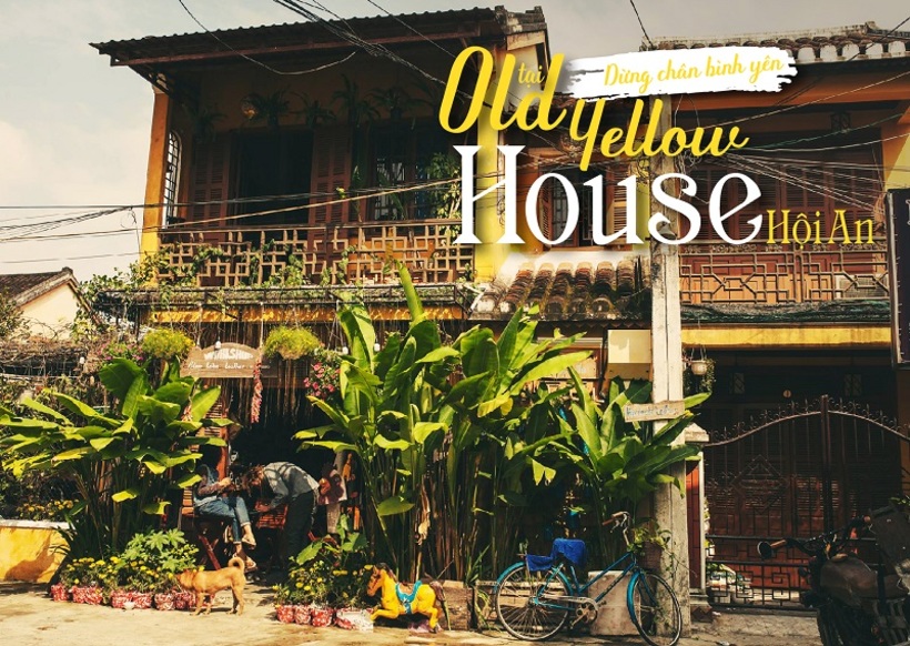 Top 70+Homestay Hội An giá rẻ gần phố cổ, trung tâm, bãi biển