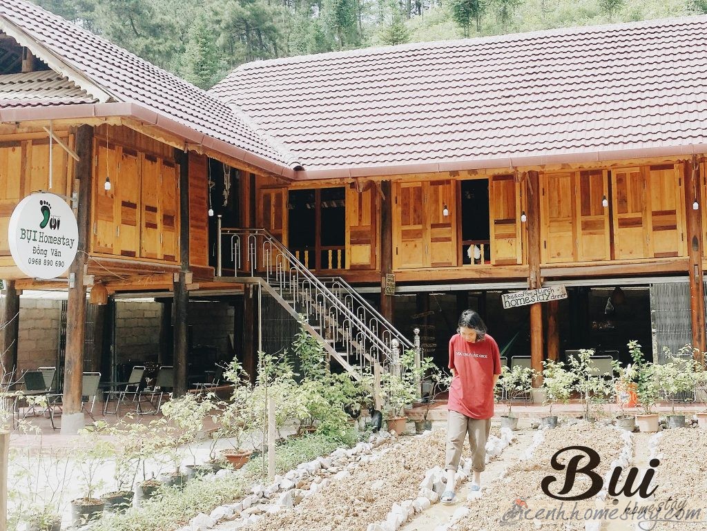 Bụi Homestay Đồng Văn Hà Giang