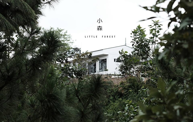 Little-Forest-Dalat-Villa