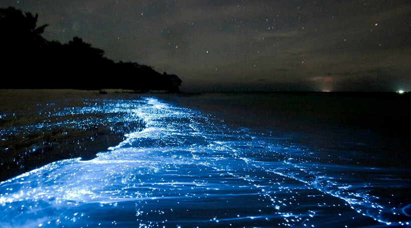 Kinh nghiệm du lịch đảo Koh Rong - nơi làn nước trong như pha lê