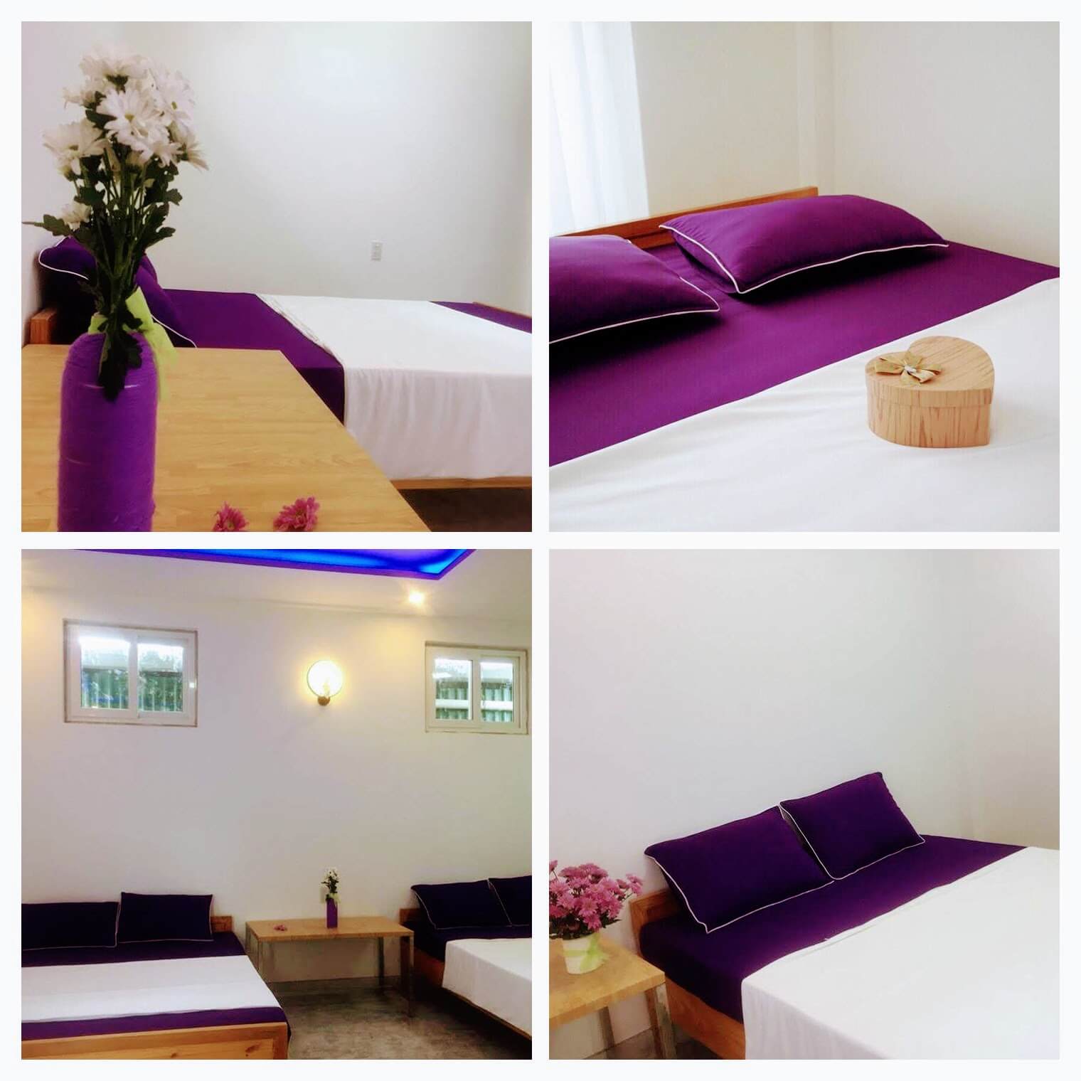 Homestay Purplehouse - ngôi nhà màu tím giữa thánh địa sống ảo Đà Lạt