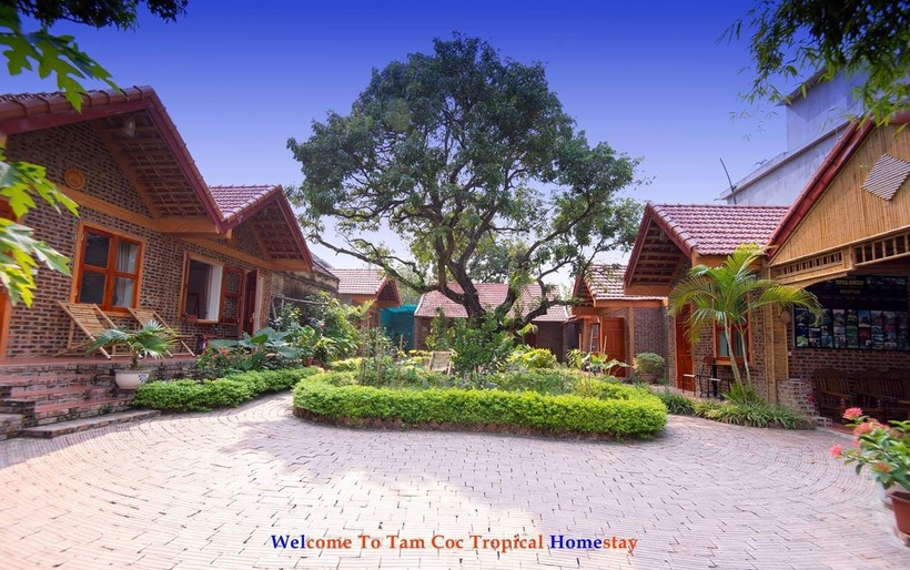 Top 50+ Homestay Ninh Bình cảnh đẹp như tranh khiến bao người mê mẩn