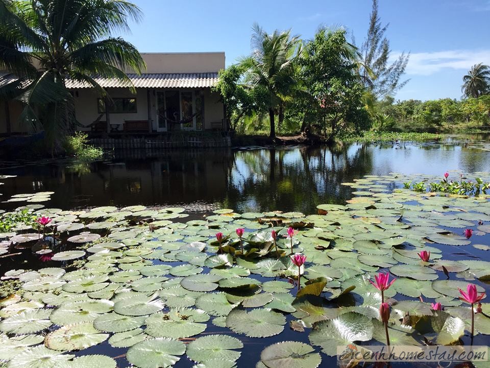 Lagi Farmstay ở Bình Thuận