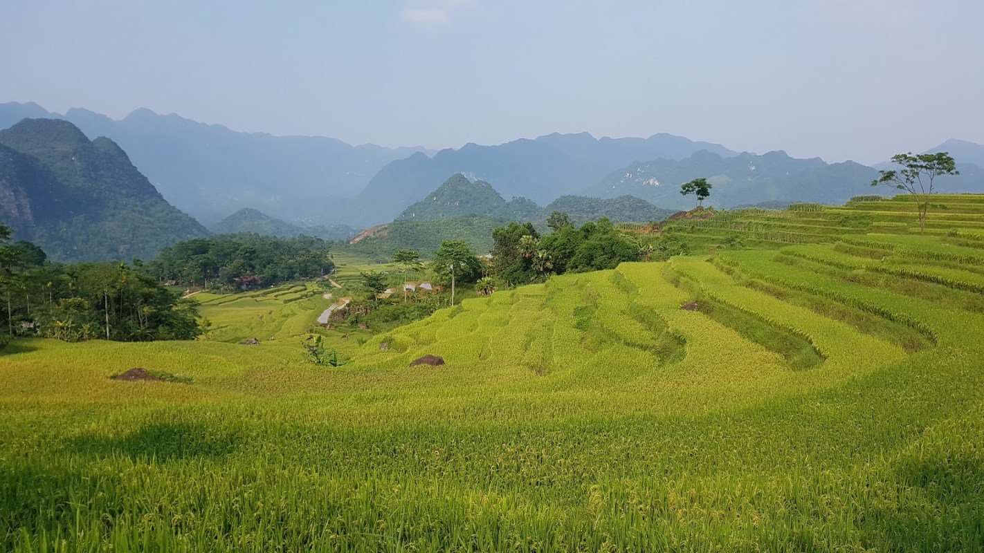 Hoanh Homestay Thanh Hóa