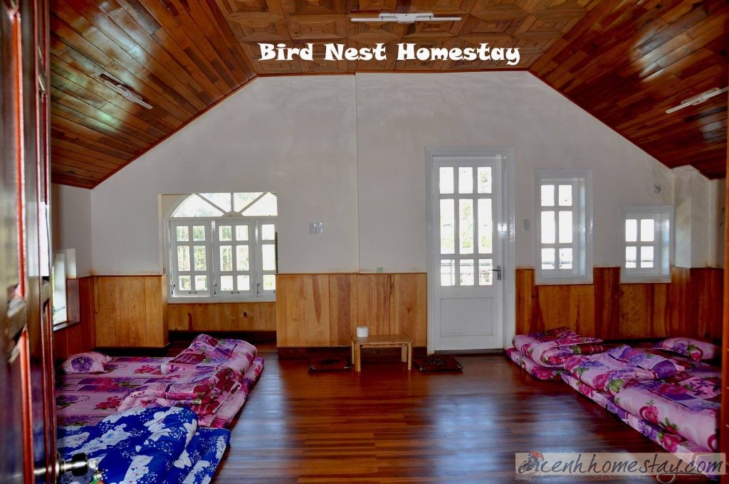 homestay Tổ Chim Đà Lạt Lâm Đồng