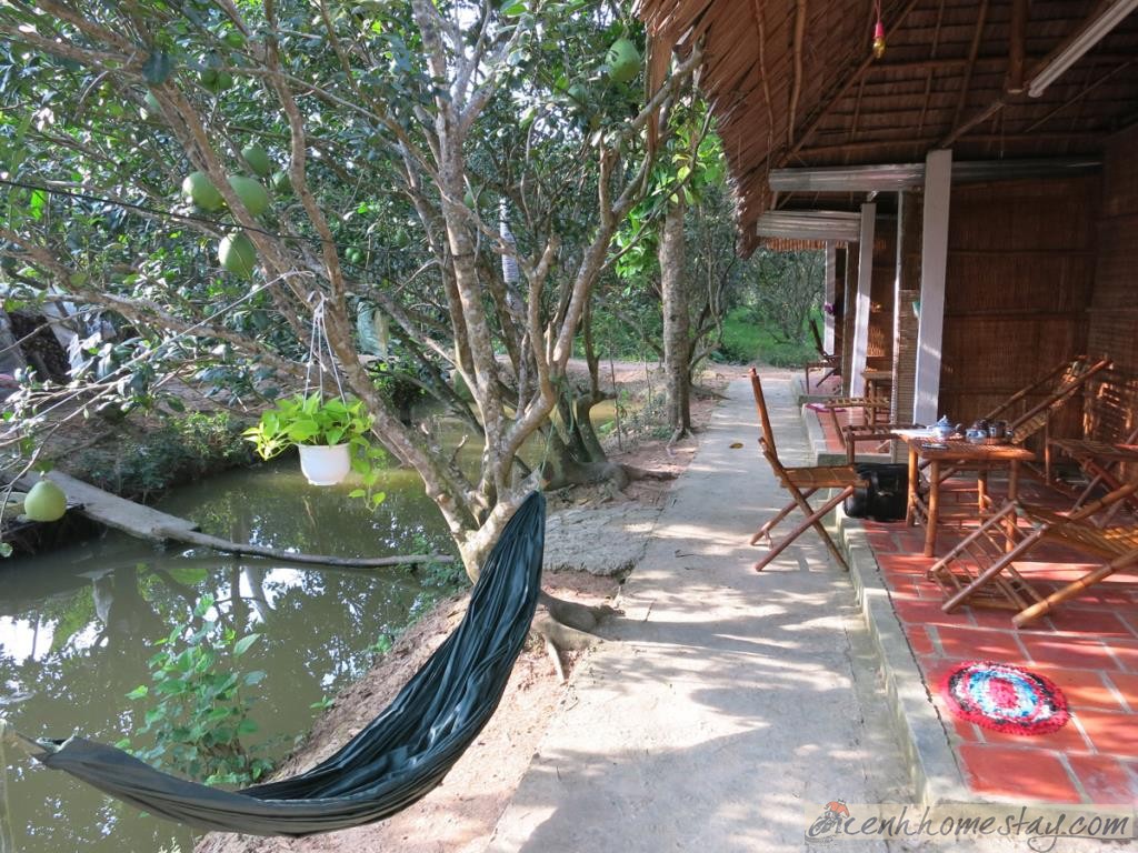 10 homestay Vĩnh Long “chất lừ” thỏa sức khám phá miền Tây sông nước