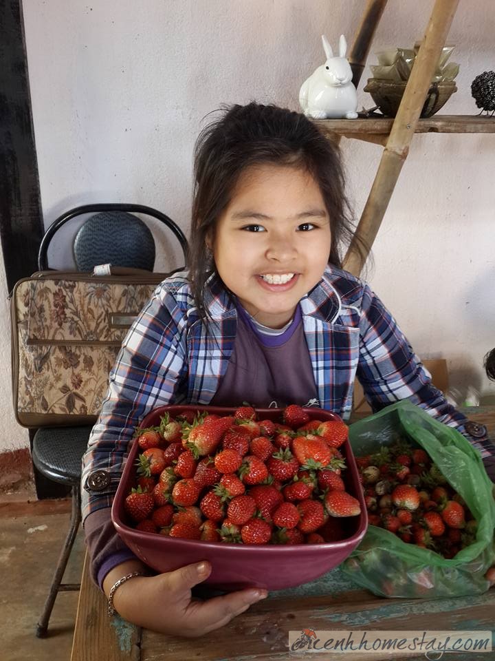 Ngó Dâu homestay Đà Lạt