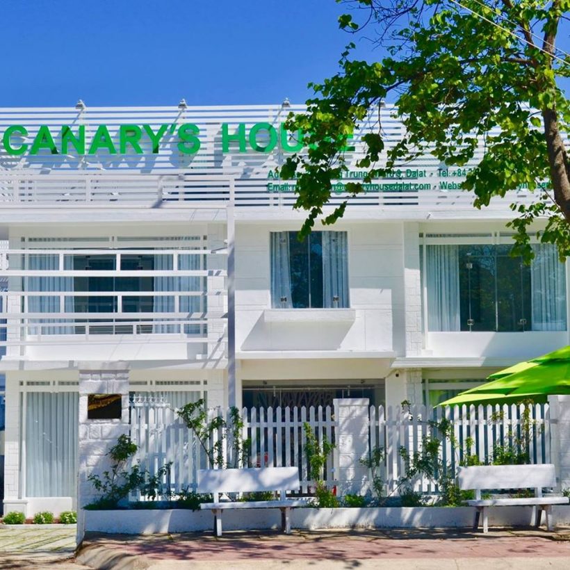 Canary’s House - mang tiện nghi cho chuyến đi Đà Lạt của bạn thêm trọn vẹn