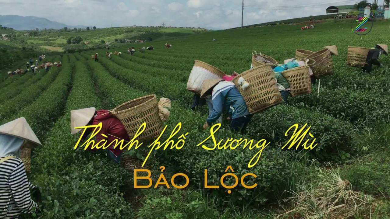 20 địa điểm du lịch Bảo Lộc cực đẹp để check-in và chụp ảnh sống ảo