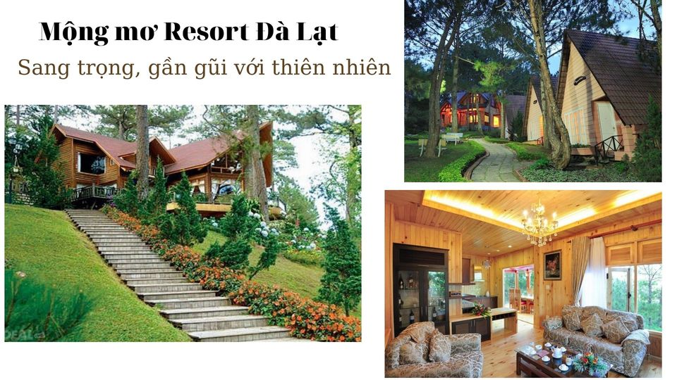 36 Resort Đà Lạt giá rẻ đẹp từ 2-3-4-5 sao ở trung tâm, chợ đêm, tuyền lâm