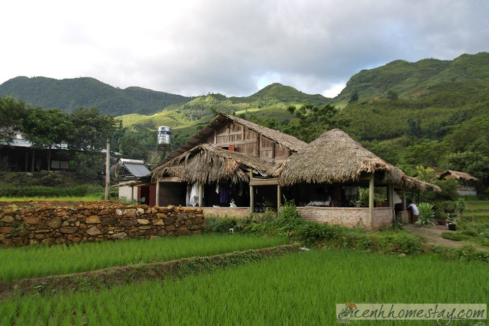 Top 20+ Homestay Sapa gần trung tâm thị trấn, các bản làng dân tộc rẻ đẹp