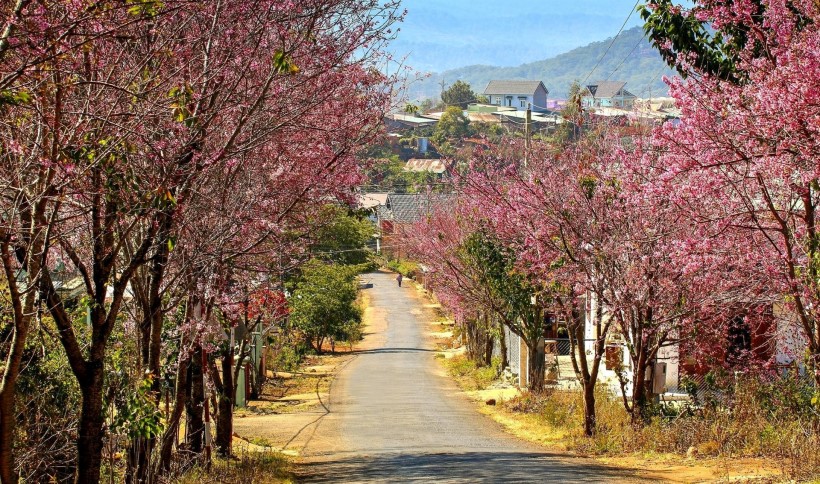 Tháng 2 nên đi du lịch ở đâu