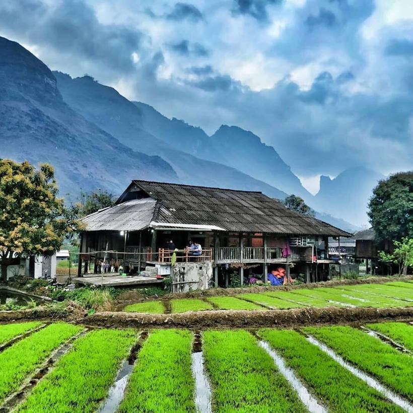 Top 70+homestay Hà Giang giá rẻ và đẹp níu chân du khách phương xa