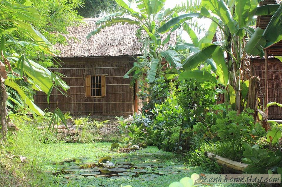 Homestay Green Village Cái Răng Cần Thơ