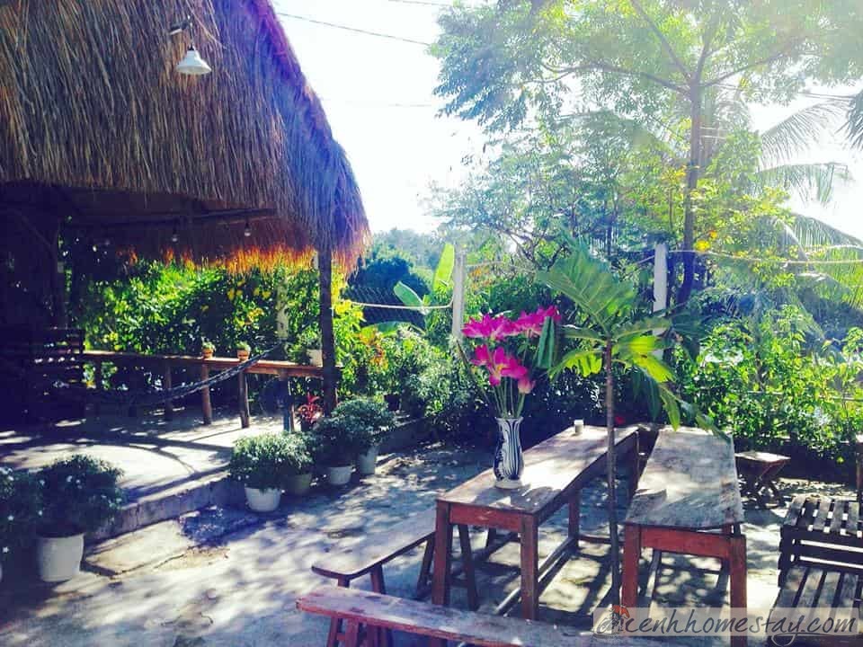 11 Homestay Phú Yên giá rẻ từ 30-100k bỏ túi khám phá xứ hoa vàng cỏ xanh