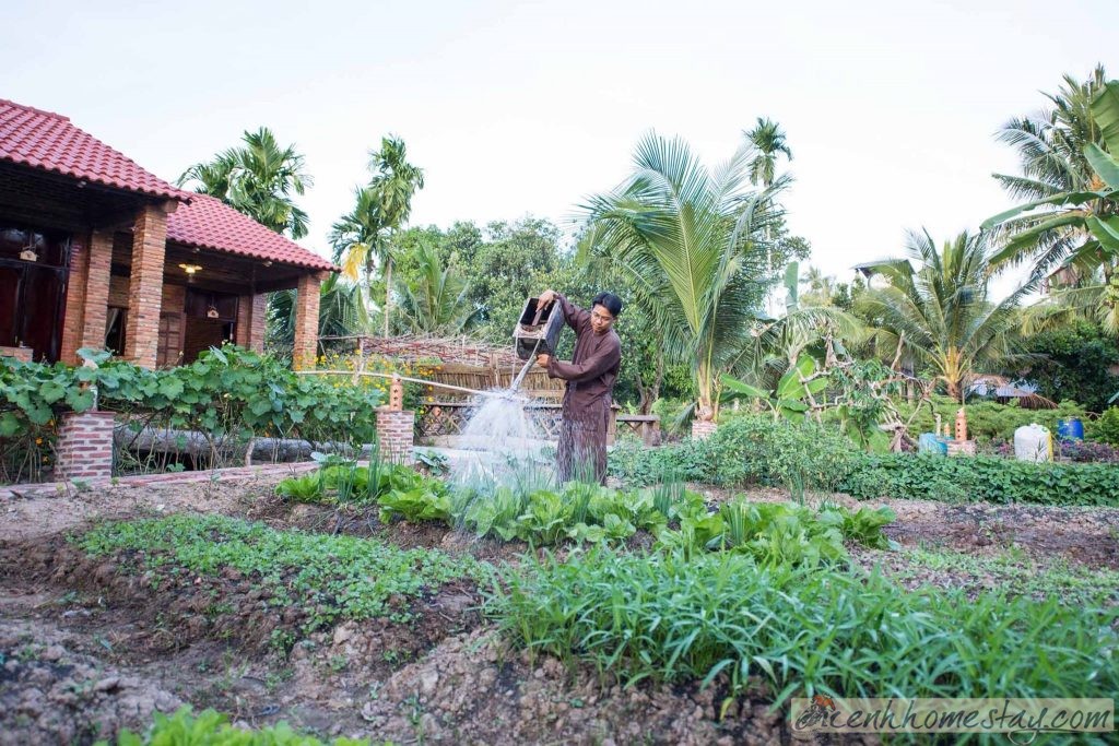 Mekong Rustic Can Tho homestay đẹp Cần Thơ 