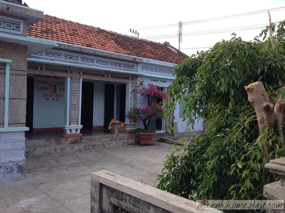 11 Homestay Phú Yên giá rẻ từ 30-100k bỏ túi khám phá xứ hoa vàng cỏ xanh