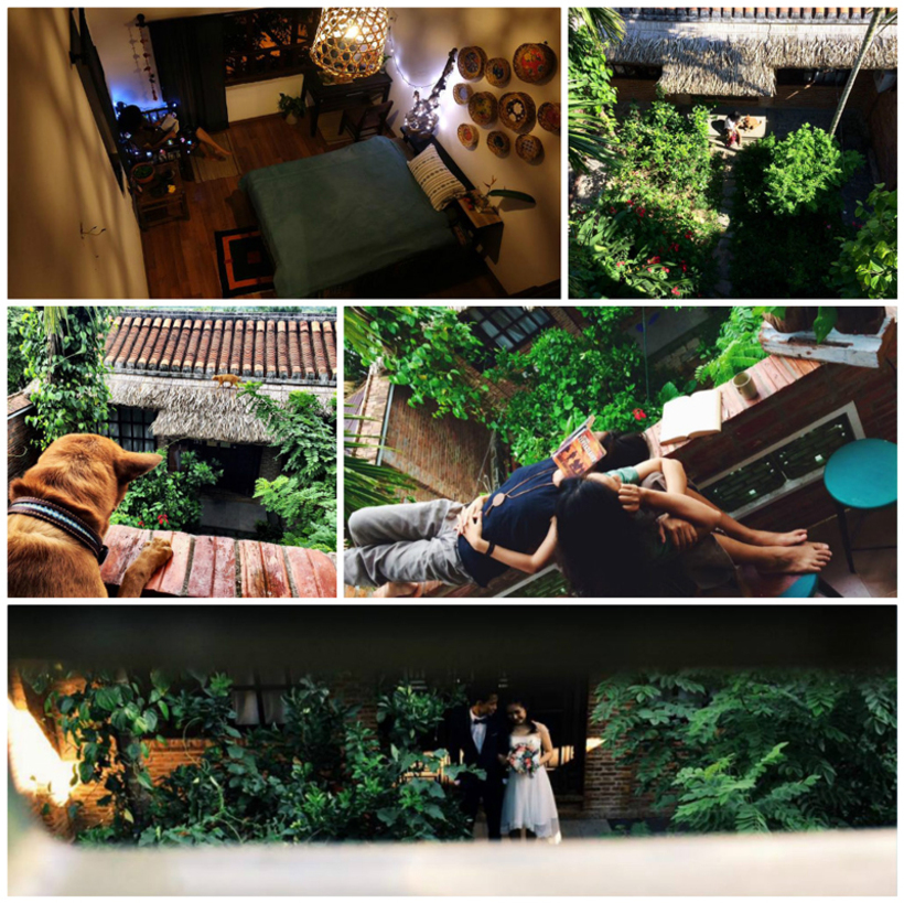 Top 70+Homestay Hội An giá rẻ gần phố cổ, trung tâm, bãi biển