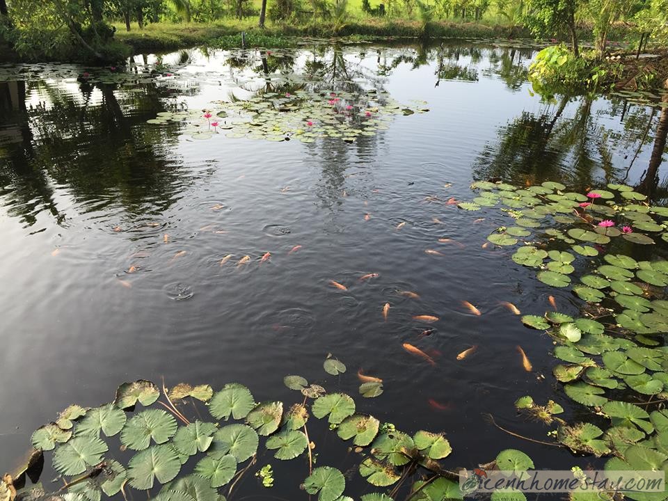 Lagi Farmstay ở Bình Thuận