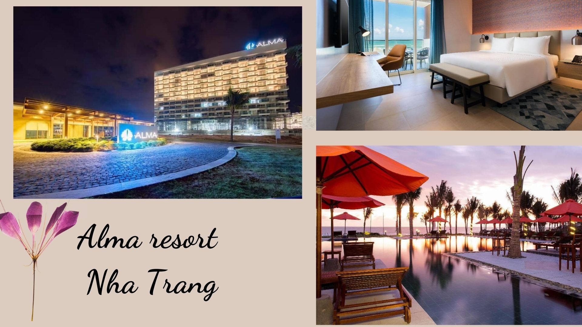 Top 30 Resort Nha Trang giá rẻ đẹp gần biển, có bãi tắm riêng, gần Vinpearl