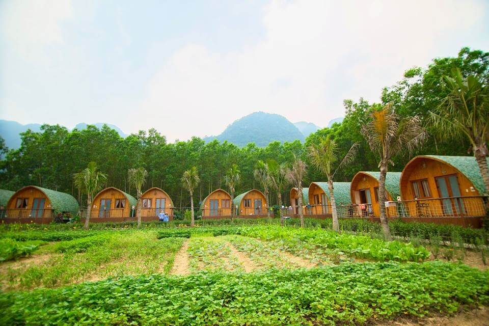 Chày Lập Farmstay & Resort: Thiên đường đẹp như cổ tích ở Quảng Bình