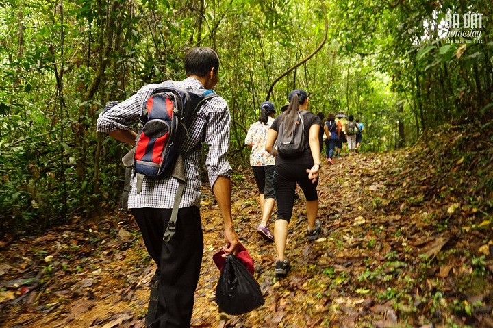 Bà Đất Homestay: “Ốc đảo” kì thú giữa rừng già Trị An