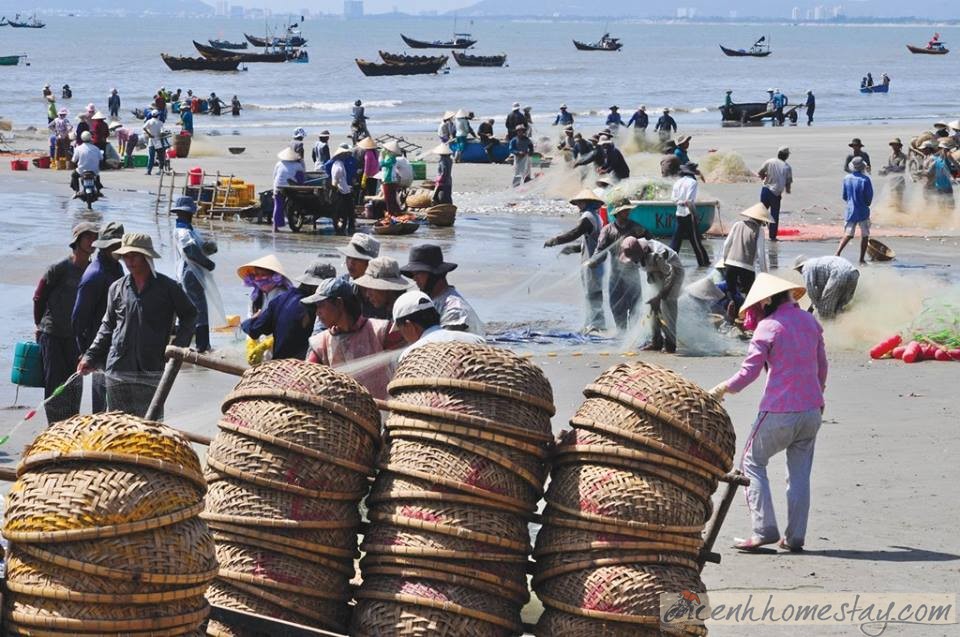 Bạch Cúc Homestay Long Hải Vũng Tàu