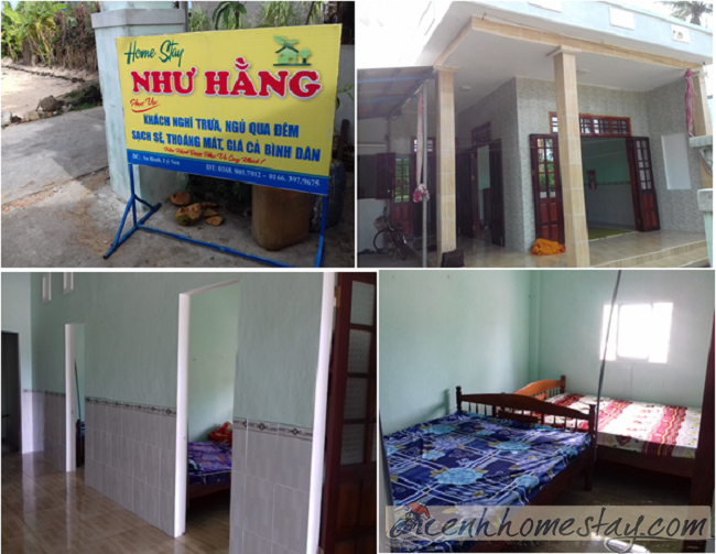 Top homestay, nhà nghỉ, khách sạn ở đảo Lý Sơn