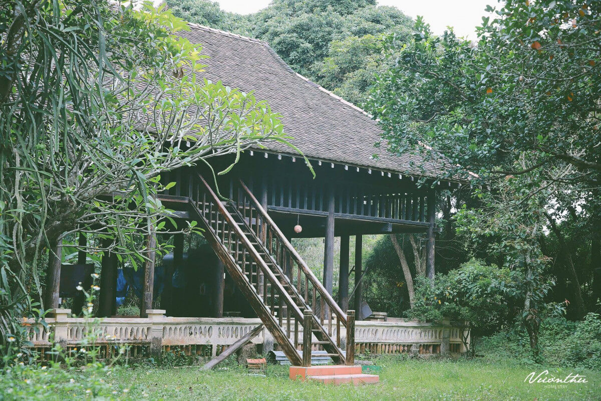 vườn Thu Homestay