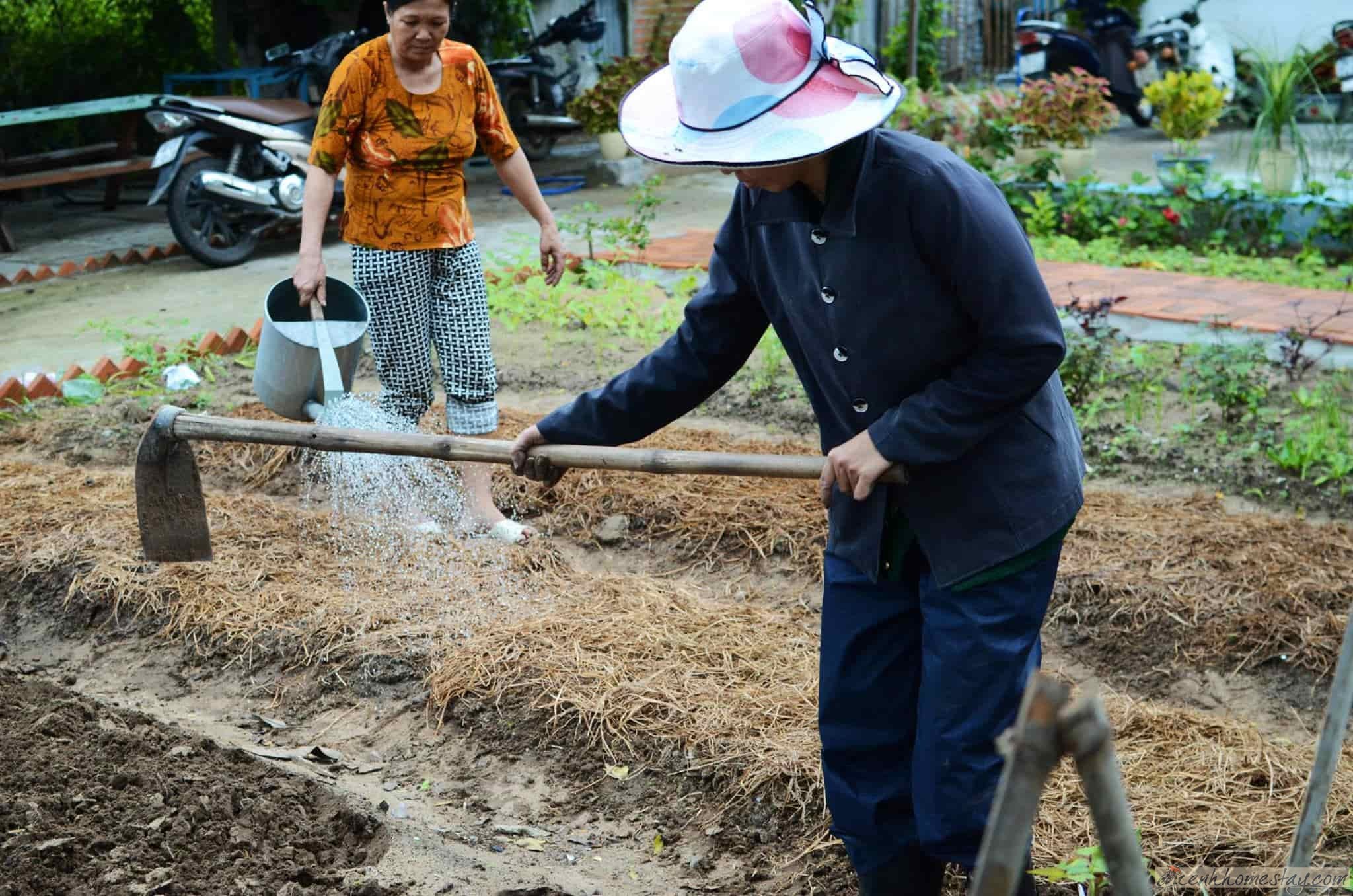 11 Homestay Phú Yên giá rẻ từ 30-100k bỏ túi khám phá xứ hoa vàng cỏ xanh