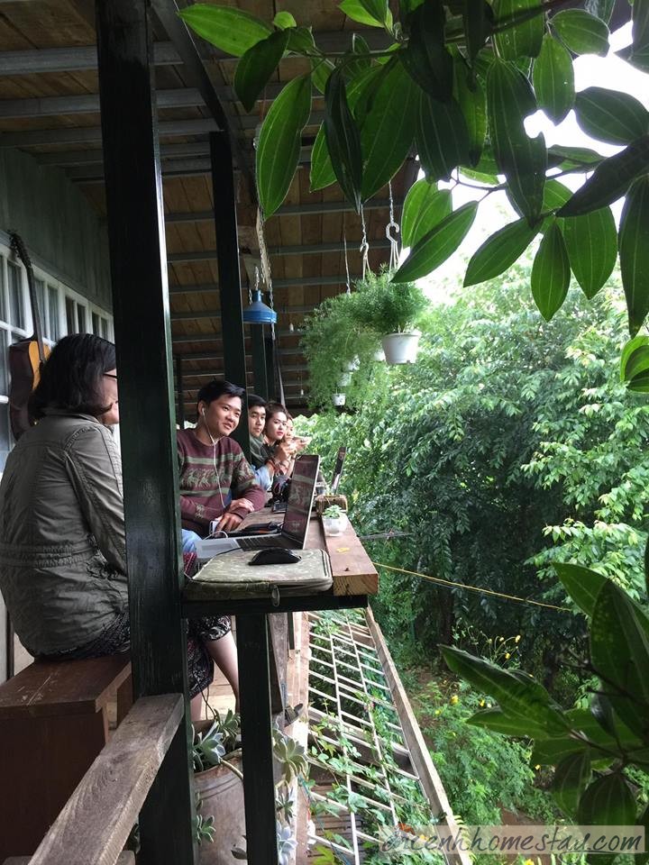 Ngó Dâu homestay Đà Lạt