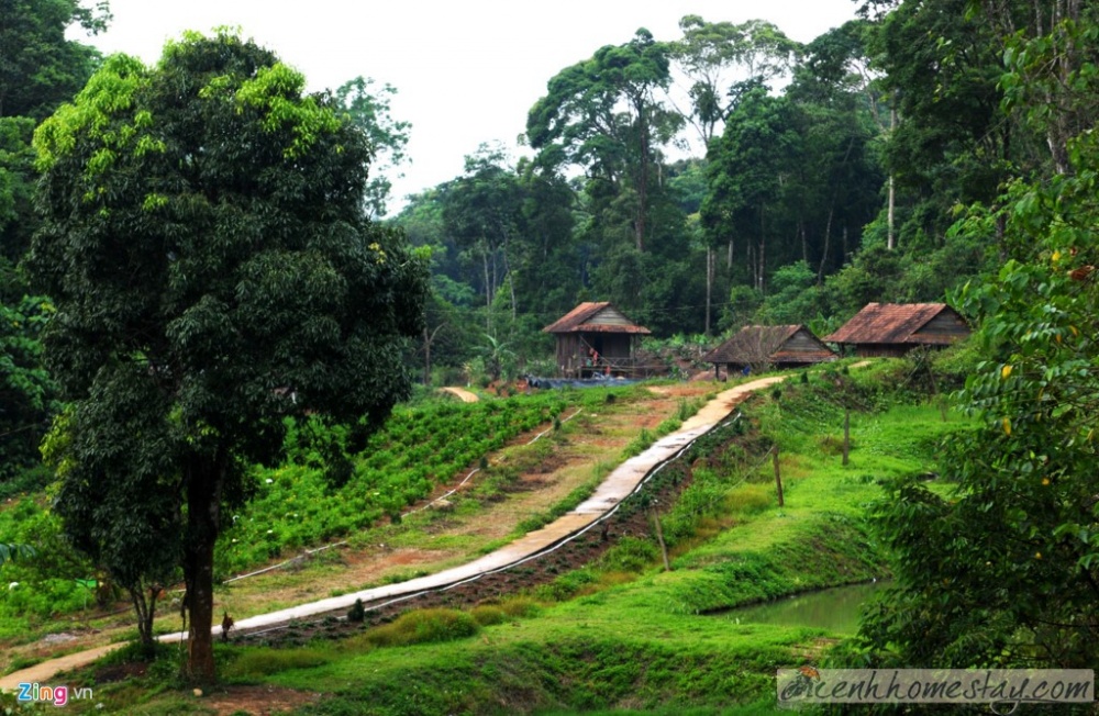 khu du lịch Măng Đen Kon Tum