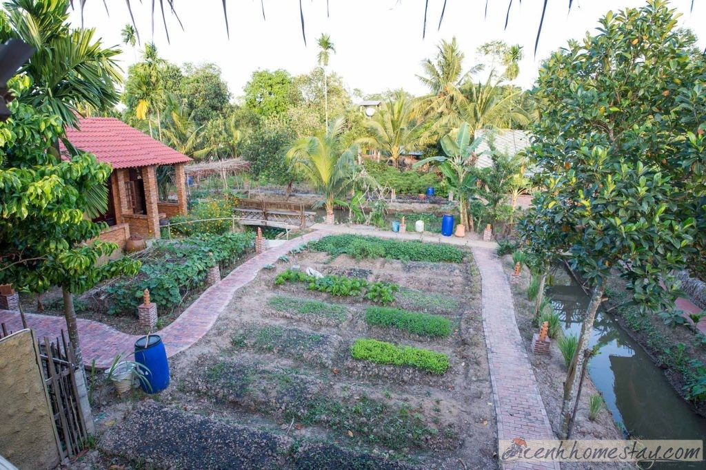 Mekong Rustic Can Tho homestay đẹp Cần Thơ 