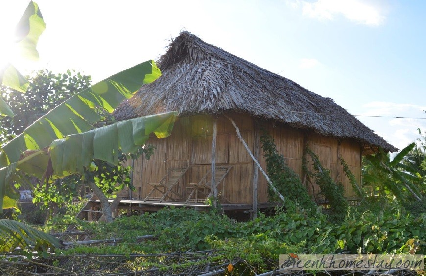 Homestay Nguyen Shack Cần Thơ, Đồng Bằng Sông Cửu Long