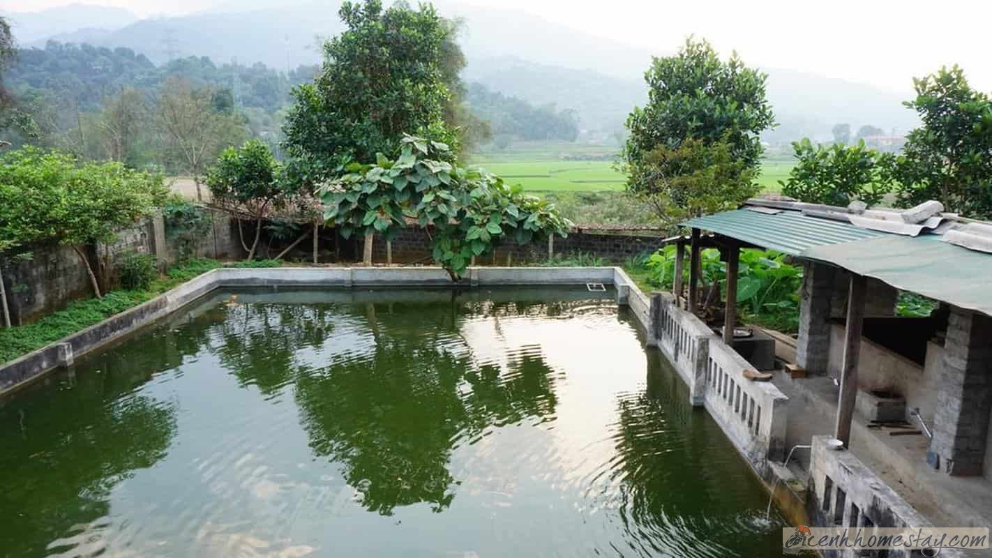 Top 50+homestay Hà Giang giá rẻ và đẹp níu chân du khách phương xa