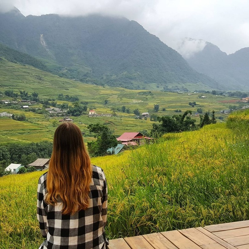 Top 10 homestay view ruộng lúa chín cực đẹp và lãng mạn ở Sapa