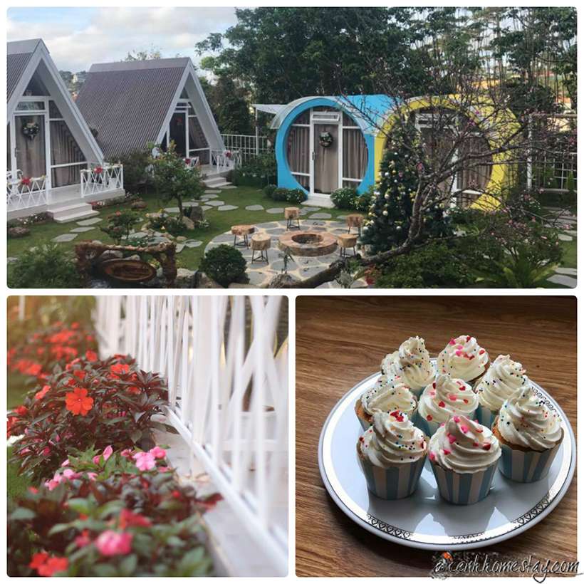 Cupcake Homestay - để mỗi ngày bạn ở đều ngọt ngào như chiếc bánh