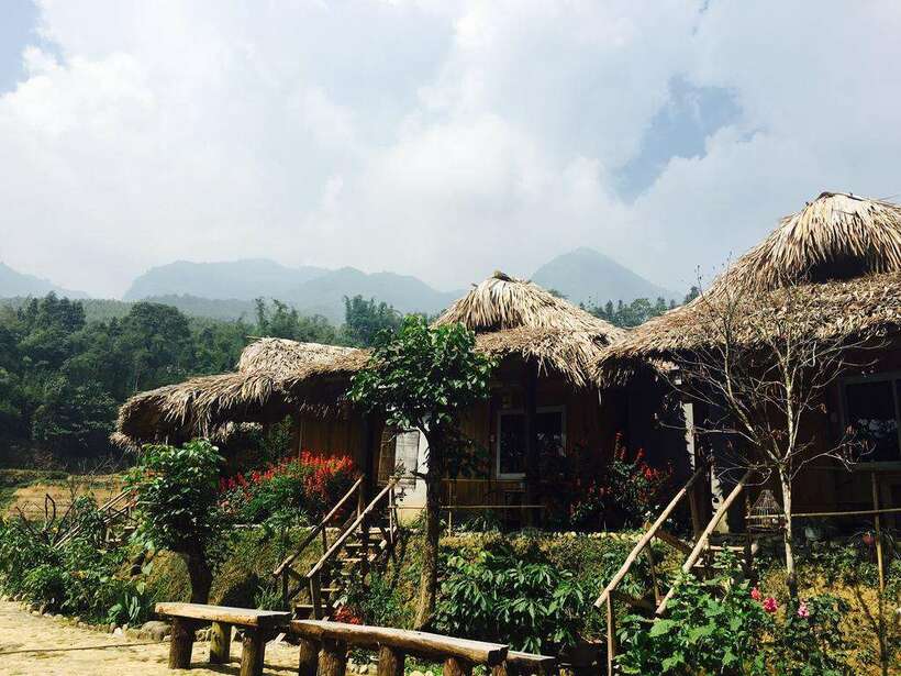 Top Review 51 Homestay Sapa giá rẻ view đẹp ở trung tâm dưới 300k