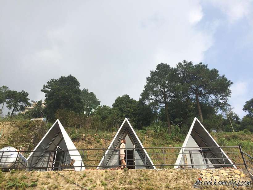 Top 30 Homestay Tam Đảo Vĩnh Phúc giá rẻ decor xinh, view săn mây đẹp