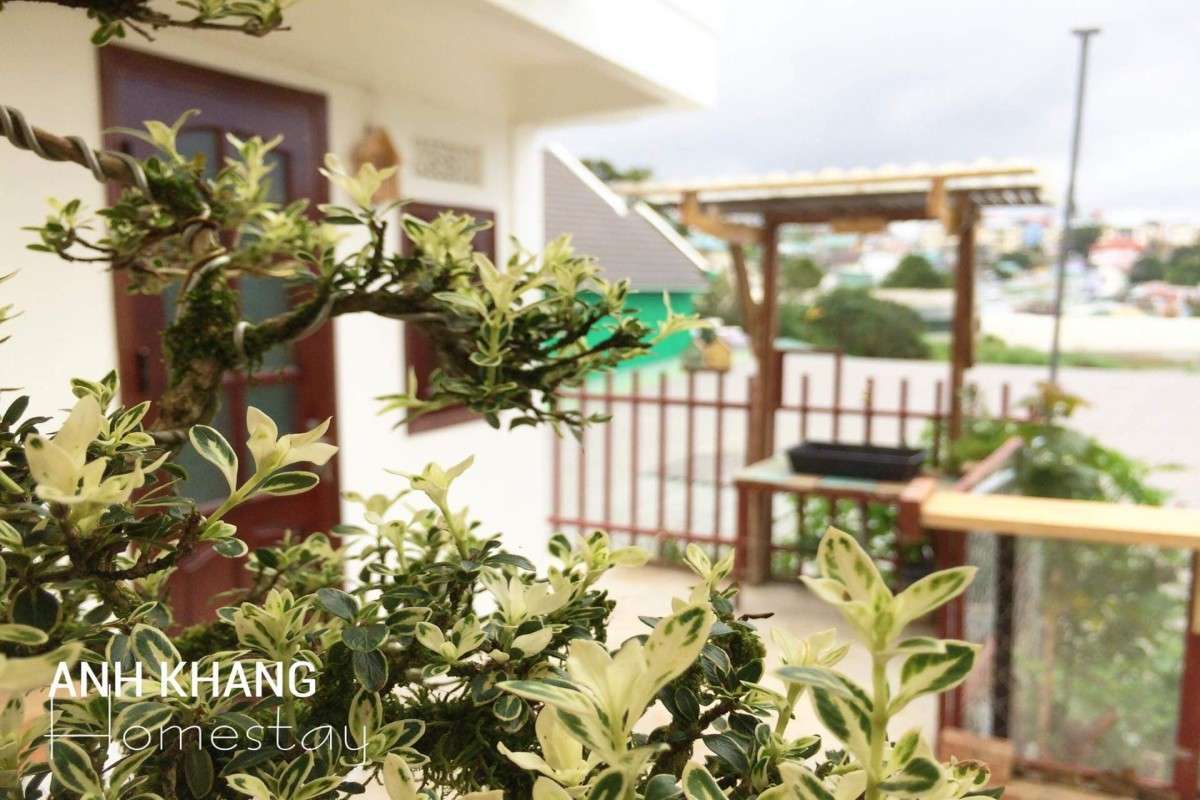 Anh Khang Homestay Đà Lạt