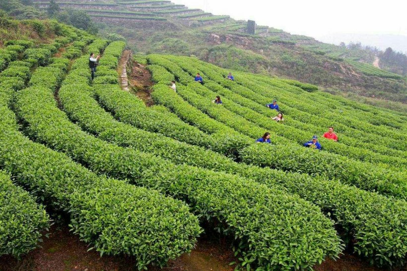 Địa điểm du lịch Trung Quốc