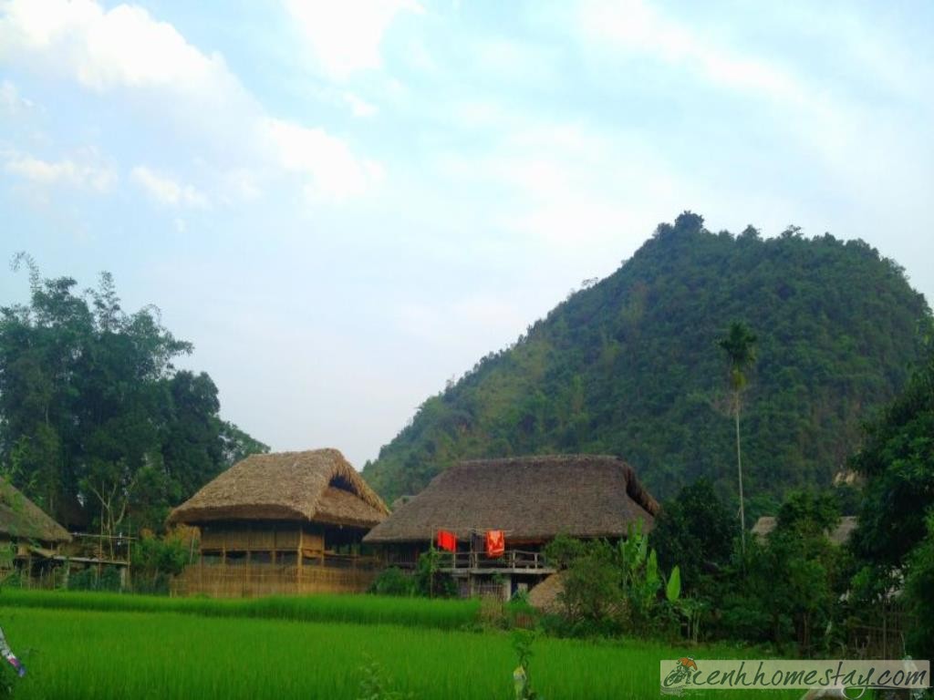 Top 50+homestay Hà Giang giá rẻ và đẹp níu chân du khách phương xa